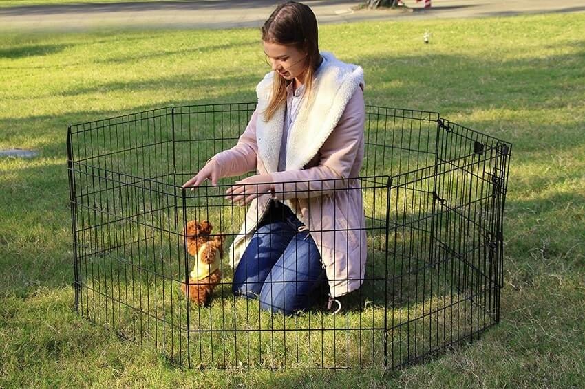 playpen-scaledparksrhsrh3e5wtyw7gffutar-min.jpg